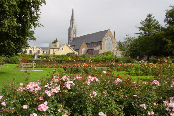 Jeux de Piste Tralee