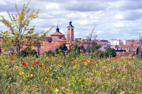 Jeux de Piste Valdemoro