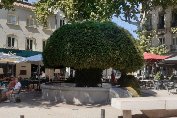 Jeux de Piste Salon-de-Provence