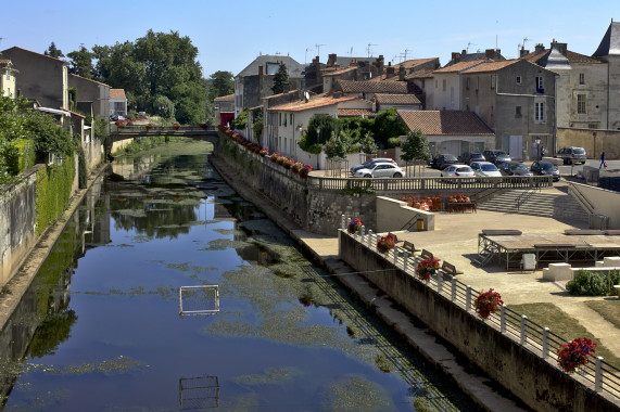 Gymkanas Fontenay-le-Comte