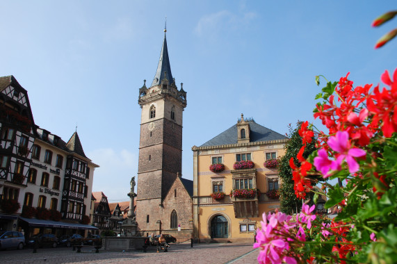 Jeux de Piste Obernai