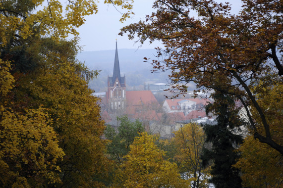 Schnitzeljagden Bad Freienwalde (Oder)