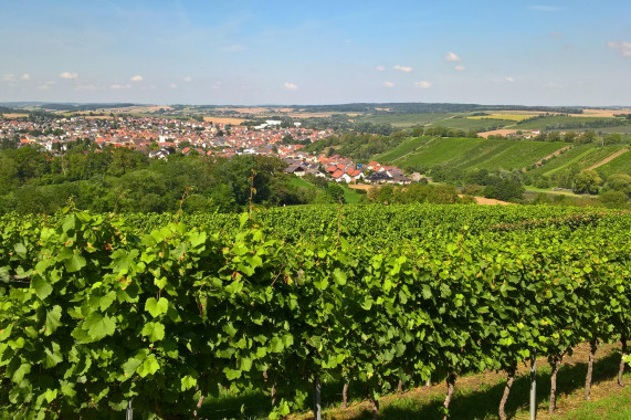 Jeux de Piste Sulzfeld