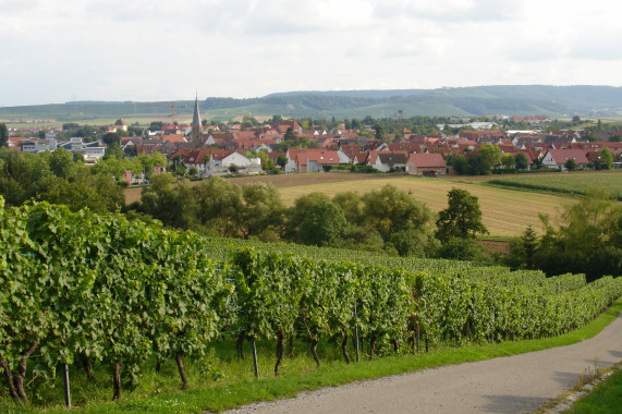 Schnitzeljagden Brackenheim