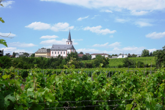 Schnitzeljagden Hochheim am Main