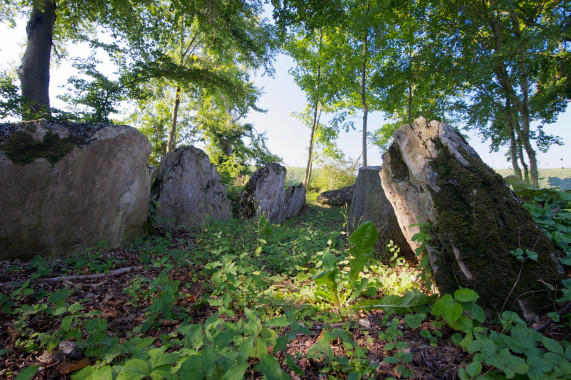 Schnitzeljagden Borchen