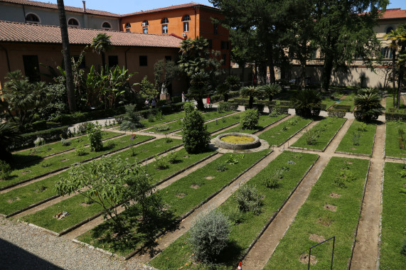 Pisa Botanic Garden and Museum Pisa