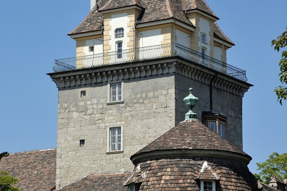 Schloss Leesdorf Baden