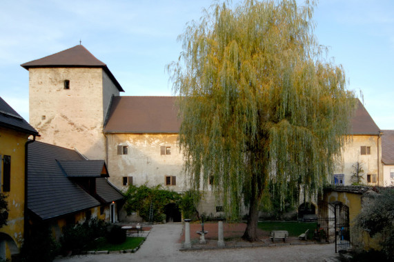 Herzogsburg (St. Veit an der Glan) Sankt Veit an der Glan