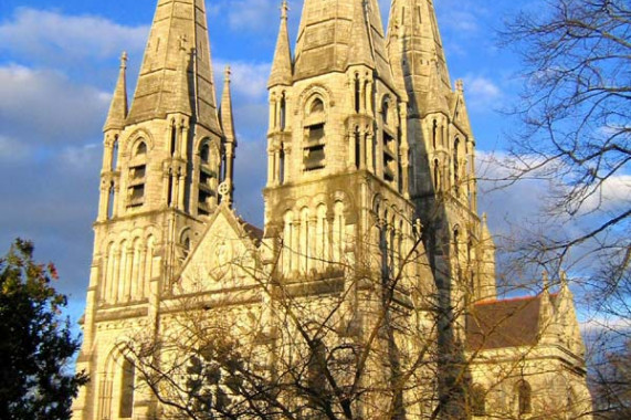 Saint Fin Barre's Cathedral Cork