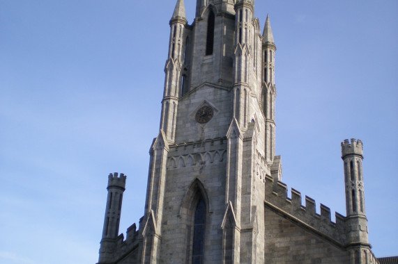 Cathedral of the Assumption of Blessed Virgin Mary Carlow