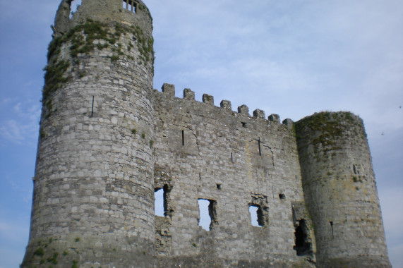 Carlow Castle Carlow