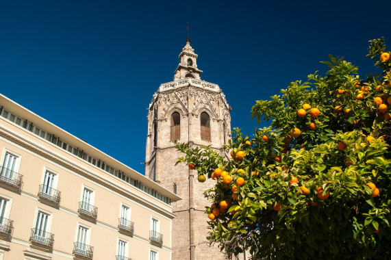 El Micalet Valencia