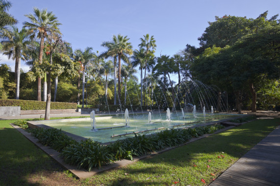 Parque García Sanabria Santa Cruz de Tenerife