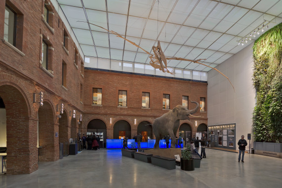 Muséum de Toulouse Toulouse