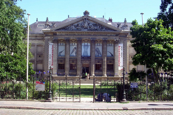 Natural History Museum of Nantes Nantes