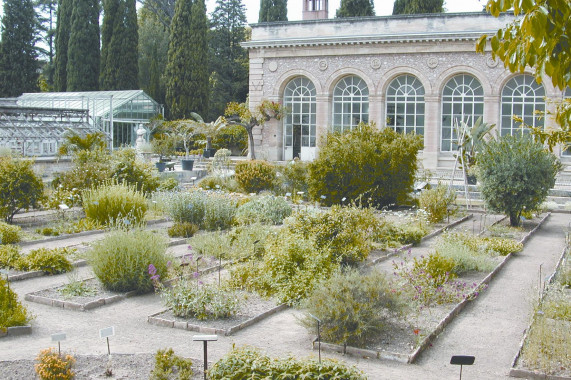 Jardin des plantes de Montpellier Montpellier