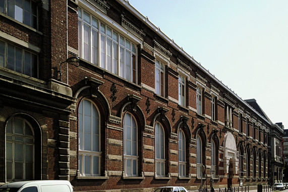 Musée d'Histoire naturelle de Lille Lille