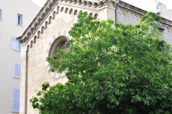 Temple protestant de Toulon Toulon