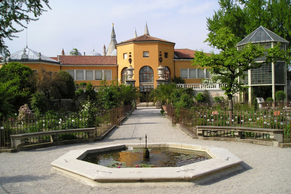 Botanischer Garten Padua Padua