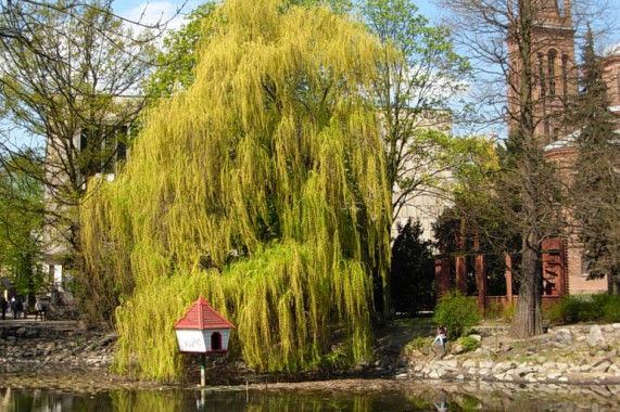 Park Casimir the Great Bydgoszcz Bydgoszcz