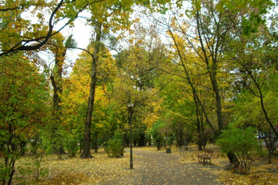 Jan Kochanowski Park in Bydgoszcz Bydgoszcz