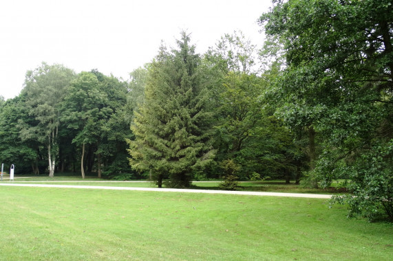 Park Zdrojowy Swinemünde