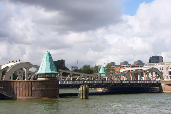 Pont de la Reine Rotterdam