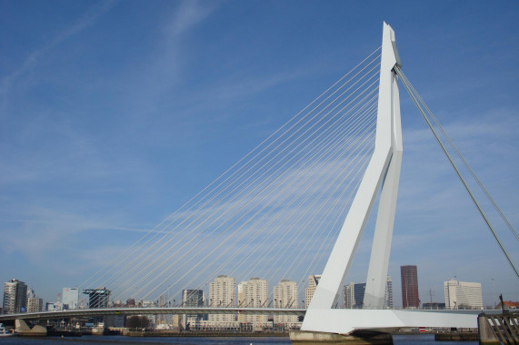 Erasmusbrücke Rotterdam