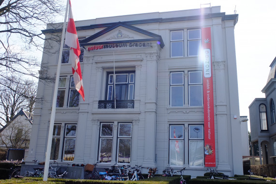 Natuurmuseum Brabant Tilburg