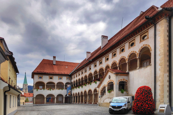 Stara grofija, Celje Celje