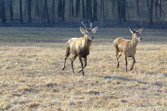 Duna–Dráva Nemzeti Park Pécs