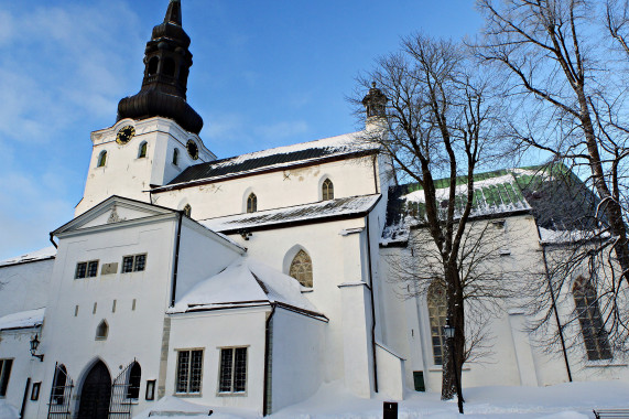 Tallinner Dom Tallinn