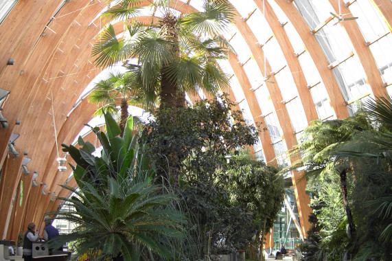 Sheffield Winter Garden Sheffield