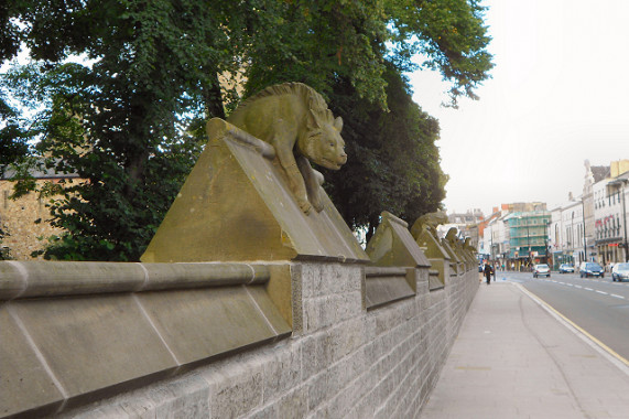 Animal Wall Cardiff