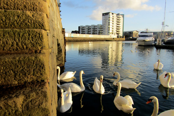 Sutton Harbour Plymouth