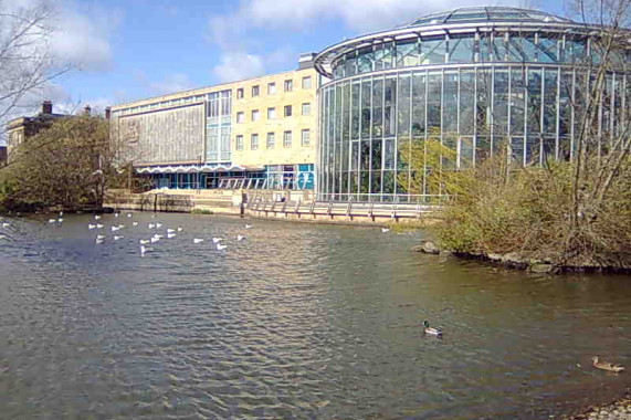 Sunderland Museum und Wintergärten Sunderland