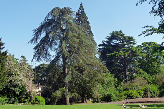 Sydney Gardens Bath