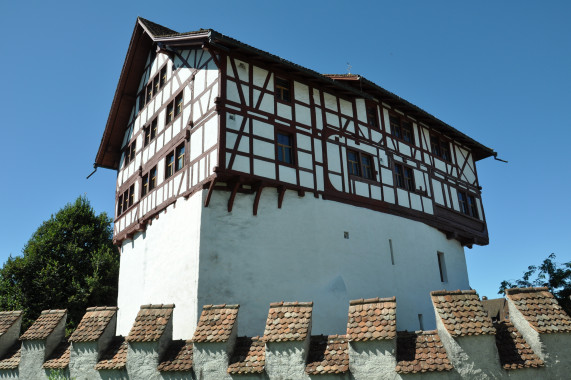 Burg Zug Zug