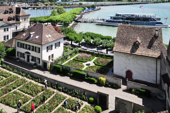 Rosengärten in Rapperswil Rapperswil-Jona