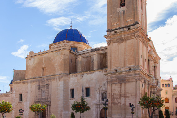 Basílica Menor de Santa María de Elche Elche