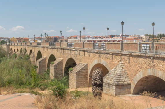 Puente de Palmas Badajoz