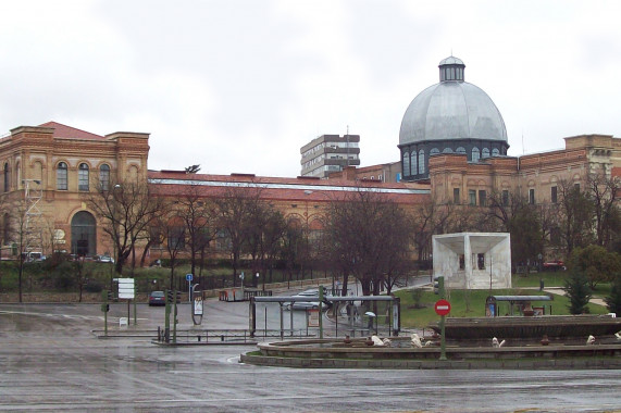 Museo Nacional de Ciencias Naturales (MNCN-CSIC) Chamartín