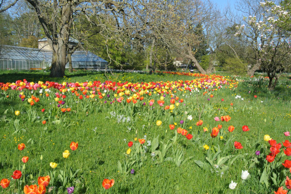 Botaniska trädgården Lund