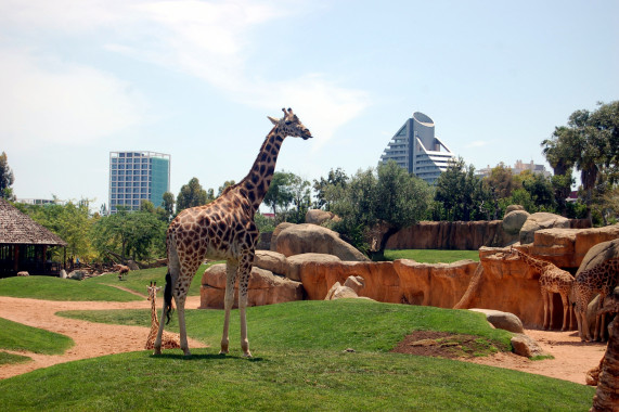 Bioparc Valencia Mislata