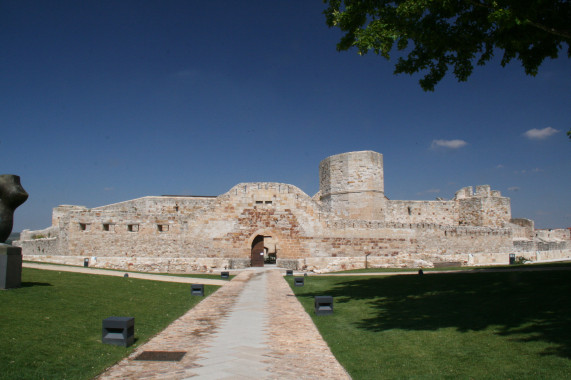 Castillo de Zamora Zamora