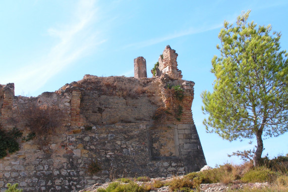 Fuertes de Orleans Tortosa