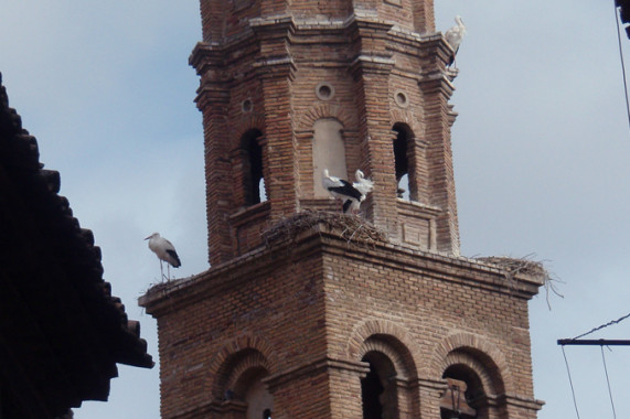 Iglesia de San Nicolás (Tudela) Tudela