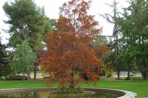 Parc Torras i Villà Granollers