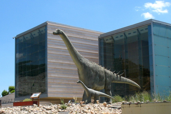 Museo Paleontológico de Castilla-La Mancha Cuenca